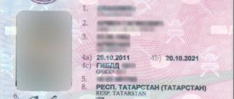 категории водительского удостоверения